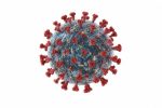 hantavirus