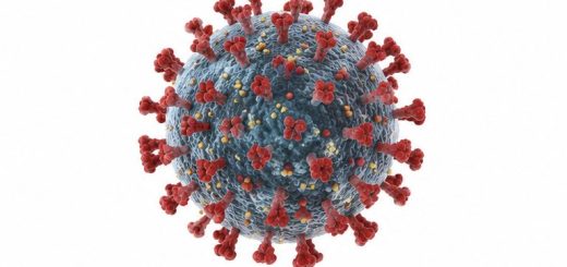 hantavirus